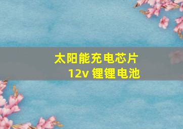 太阳能充电芯片 12v 锂锂电池